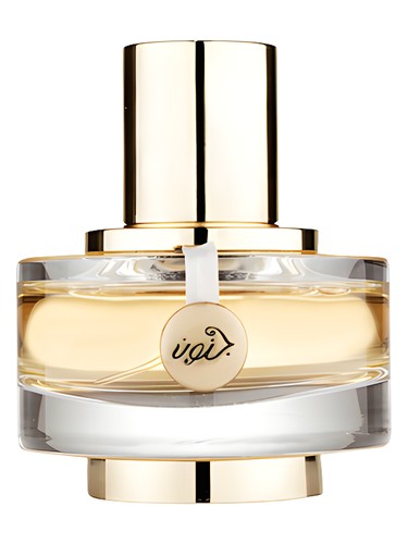 Junoon Satin for Woman