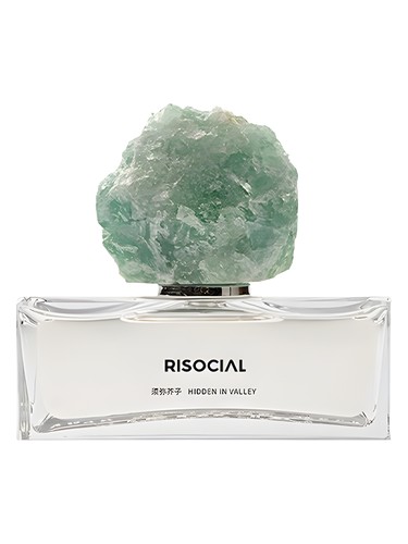 Hidden In Valley 须弥芥子