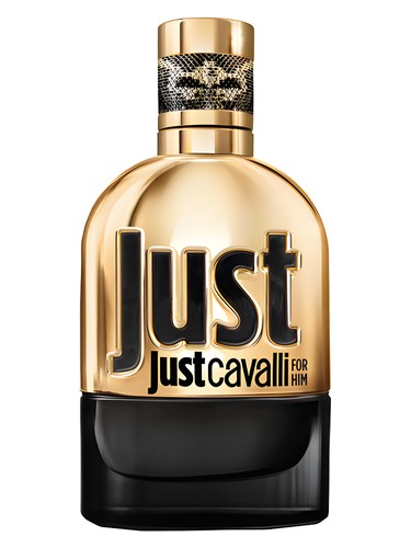 Just Cavalli Gold for Man