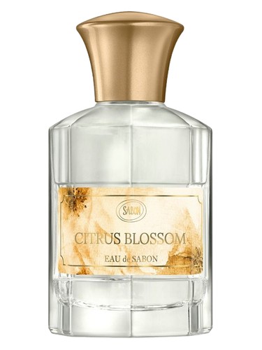 Citrus Blossom