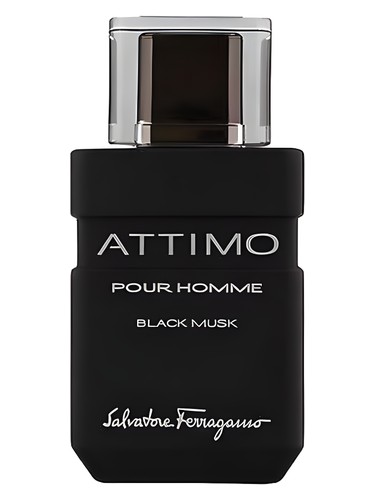 Attimo Black Musk Pour Homme