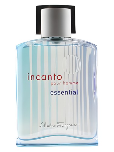 Incanto Essential Pour Homme