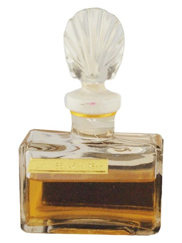 Белая сирень (White Lilac)