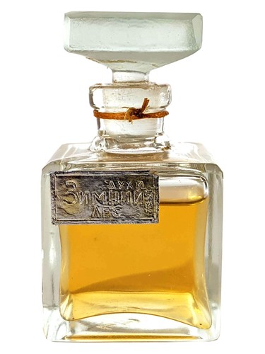 Зимний лес (Winter Forest)