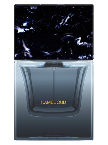 Kamel Oud