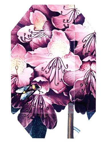 Print Collection Stella 01 (2011) for Woman 2011