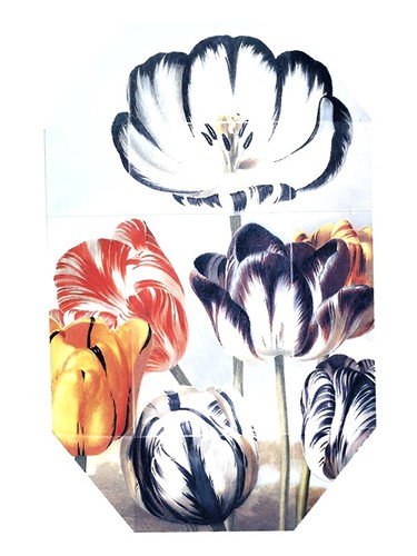 Print Collection Stella 02 (2011) for Woman 2011