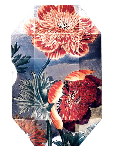 Print Collection Stella 03 (2011) 2011