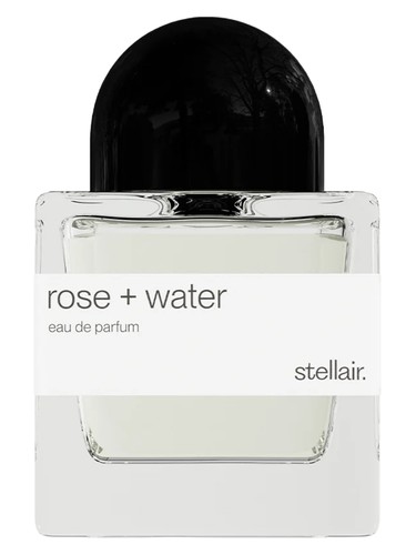 Rose + Water
