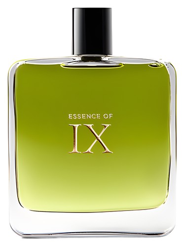 Essence of IX