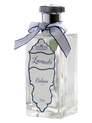 Lavanda de Provence
