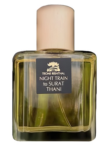 Night Train to Surat Thani