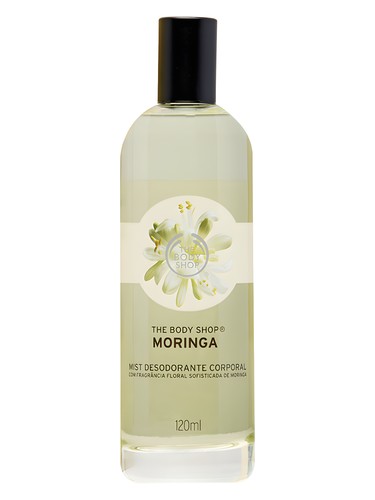 Moringa 2014