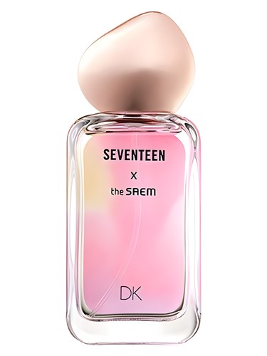Seventeen X DK