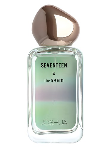 Seventeen X Joshua