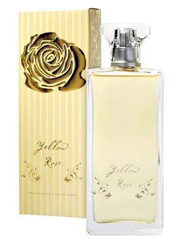 Yellow Rose