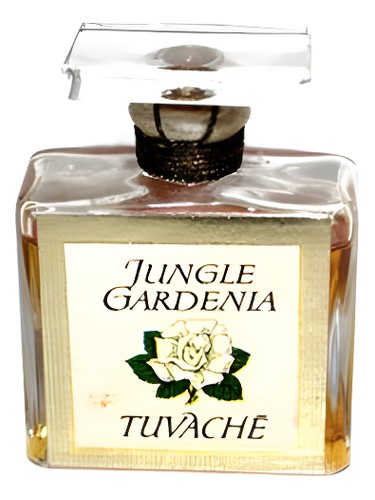 Jungle Gardenia