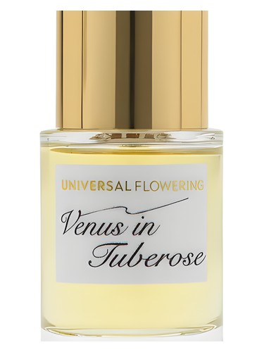 Venus in Tuberose