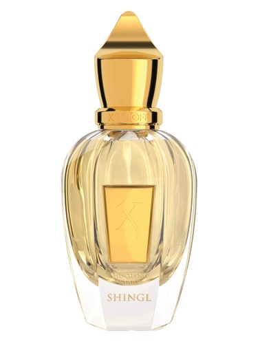 Shingl