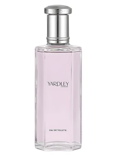 English Rose Contemporary Edition