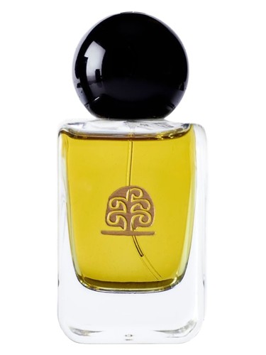 Hommage a Paul Klee Lights and Shadows